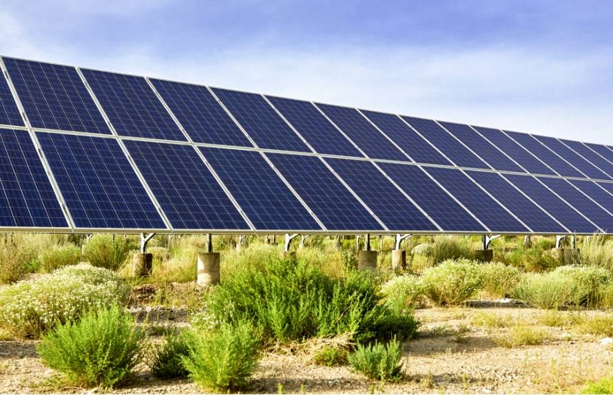 A row of solar panels